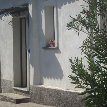 B&B Vaiana Maida Rom bilde